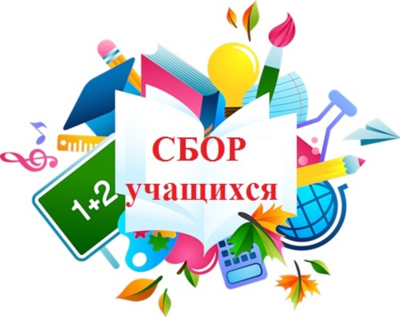 Сборы обучающихся - 2024.